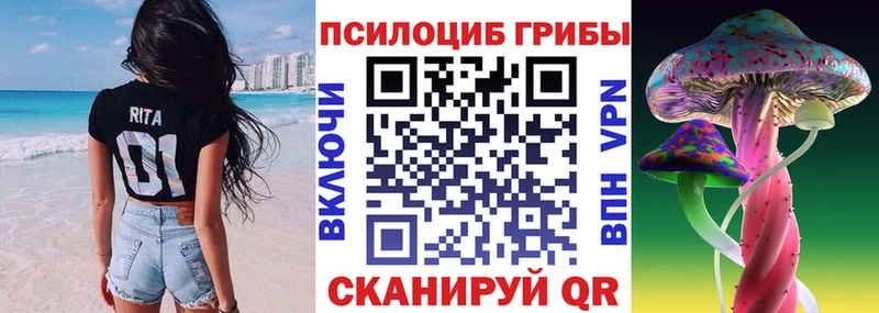 Псилоцибиновые грибы Psilocybe Волчанск